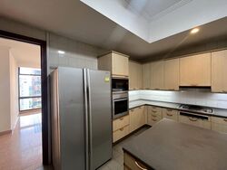 Four Seasons Park (D10), Condominium #550577411